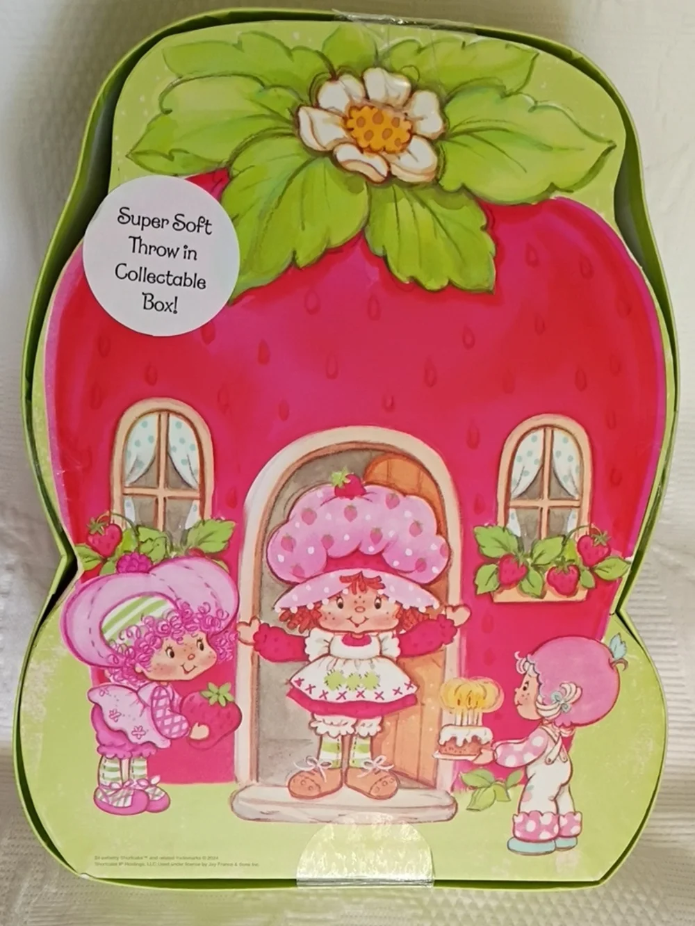 Pink Plush Throw - Collectible Gift Box